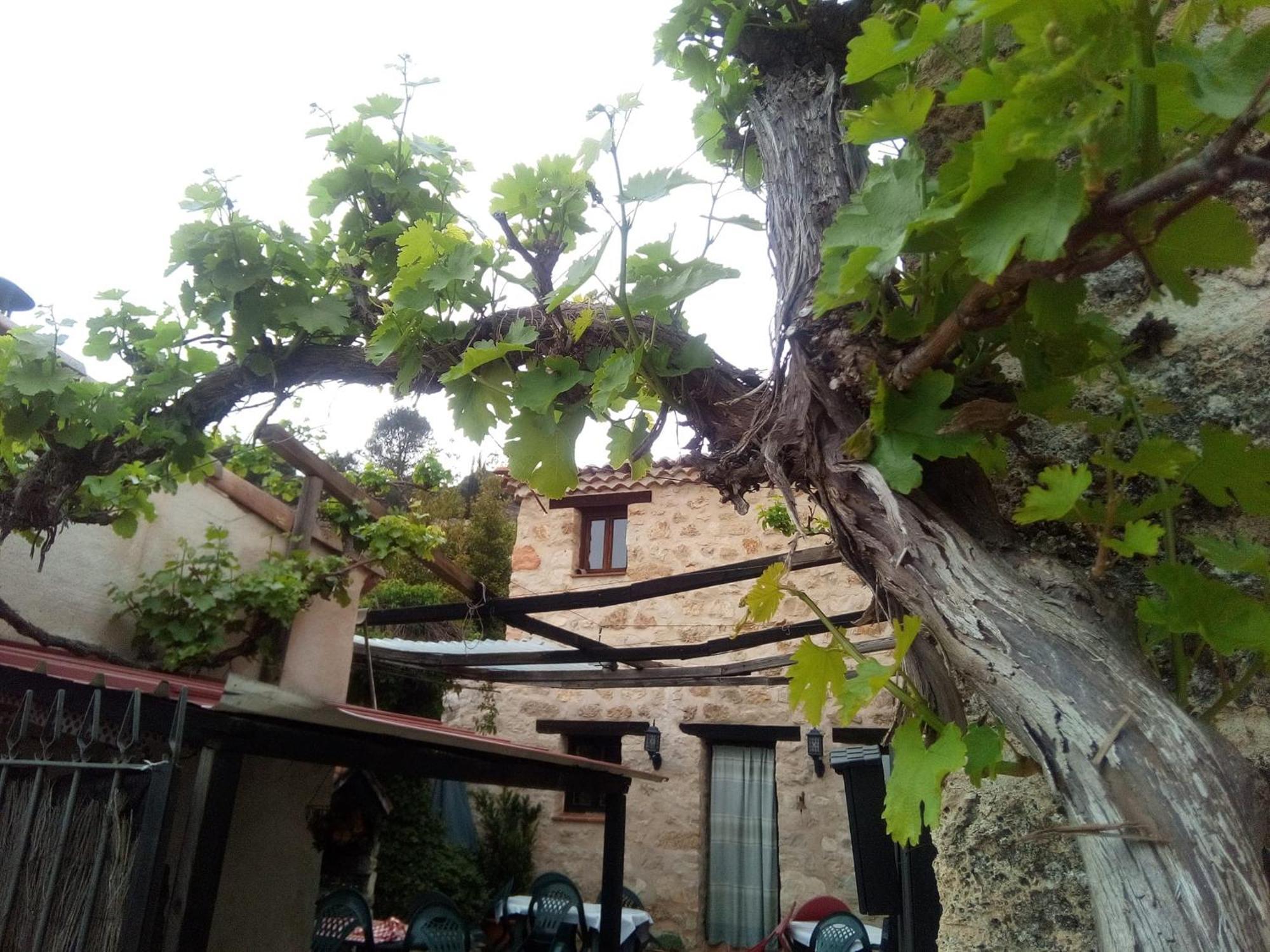Posada Del Dulce Sueno Mojares Екстер'єр фото